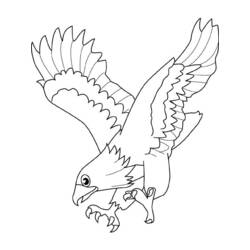 Disegno Falco in picchiata con gli artigli estesi da colorare Disegno Falco in picchiata con gli artigli estesi da colorare
