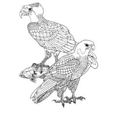 Disegno Falco e rapace con un pesce tra le zampe da colorare Disegno Falco e rapace con un pesce tra le zampe da colorare