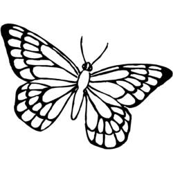 Farfalla - Disegni da colorare gratuiti