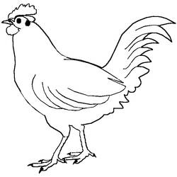 Disegno Gallo in piedi con la coda alzata da colorare Disegno Gallo in piedi con la coda alzata da colorare