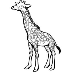 Giraffa - Disegni da colorare gratuiti