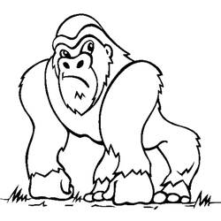Disegno Gorilla in piedi su quattro zampe da colorare