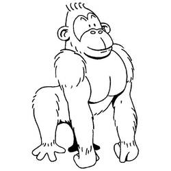 Gorilla - Disegni da colorare gratuiti
