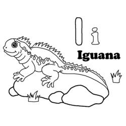 Iguana - Disegni da colorare gratuiti
