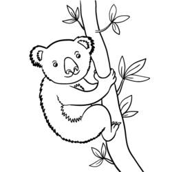 Disegno Koala che si arrampica su un tronco d'albero da colorare