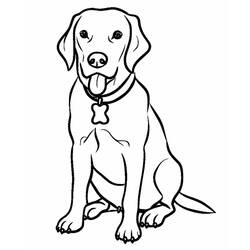 Disegno Labrador seduto con la lingua fuori da colorare Disegno Labrador seduto con la lingua fuori da colorare