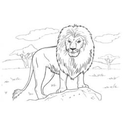 Disegno Leone in piedi su una roccia nella savana da colorare