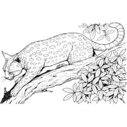 Disegno Leopardo accucciato su un ramo d'albero da colorare