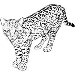 Disegno Leopardo che avanza con il mantello maculato da colorare