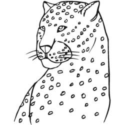 Disegno Leopardo visto di profilo in primo piano da colorare