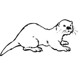 Lontra - Disegni da colorare gratuiti