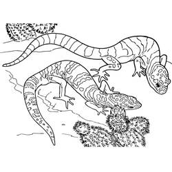 Lucertola - Disegni da colorare gratuiti