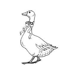 Disegno Oca con un nastro annodato al collo da colorare