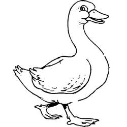 Disegno Oca che cammina con le ali leggermente alzate da colorare