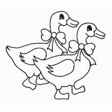 Disegno Due oche con fiocchi da colorare