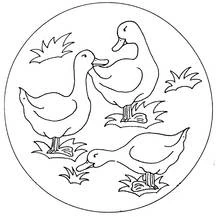 Disegno Oca trio tra l'erba da colorare