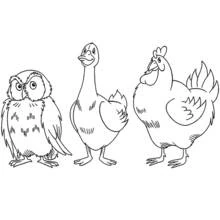 Disegno Oca in piedi tra un gufo e una gallina da colorare