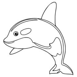 Orca - Disegni da colorare gratuiti