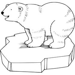 Disegno Orso Polare in piedi su un blocco di ghiaccio da colorare