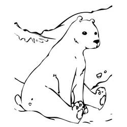 Disegno Orso Polare seduto sul ghiaccio da colorare