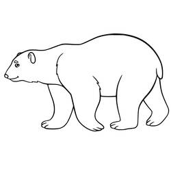 Disegno Orso Polare che cammina di profilo da colorare