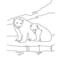Disegno Orso Polare madre e cucciolo sul ghiaccio da colorare