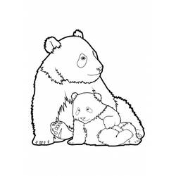 Panda - Disegni da colorare gratuiti