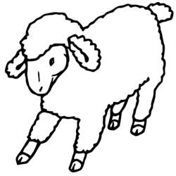 Disegno Pecora che cammina con lana riccia da colorare