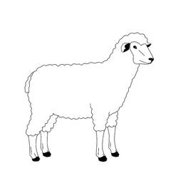 Disegno Pecora in piedi di profilo da colorare