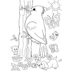 Picchio - Disegni da colorare gratuiti