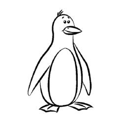 Pinguino - Disegni da colorare gratuiti