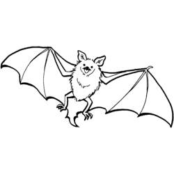 Pipistrello - Disegni da colorare gratuiti