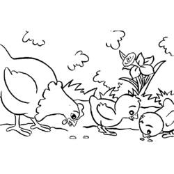 Disegno Pollo e pulcini che beccano semi da colorare Disegno Pollo e pulcini che beccano semi da colorare