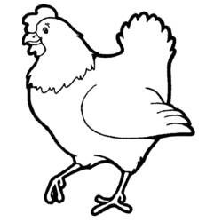 Disegno Pollo che cammina con la coda alzata da colorare Disegno Pollo che cammina con la coda alzata da colorare