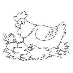 Disegno Pollo che osserva un pulcino uscire dall'uovo da colorare Disegno Pollo che osserva un pulcino uscire dall'uovo da colorare