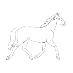 Disegno Pony al trotto da colorare