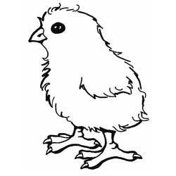 Disegno Pulcino in piedi con piume soffici da colorare Disegno Pulcino in piedi con piume soffici da colorare