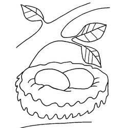 Disegno Pulcino nido con due uova su un ramo da colorare Disegno Pulcino nido con due uova su un ramo da colorare