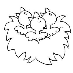 Disegno Pulcino tre pulcini nel nido da colorare Disegno Pulcino tre pulcini nel nido da colorare