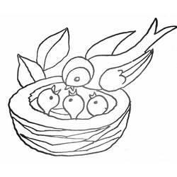 Disegno Pulcini nutriti dalla madre nel nido da colorare Disegno Pulcini nutriti dalla madre nel nido da colorare