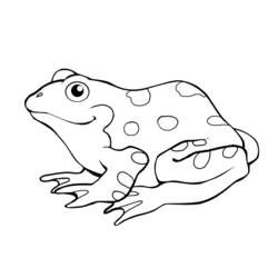 Rana - Disegni da colorare gratuiti