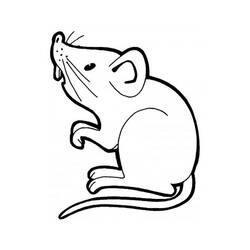 Ratto - Disegni da colorare gratuiti