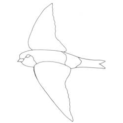 Disegno Rondine in volo con le ali spiegate da colorare