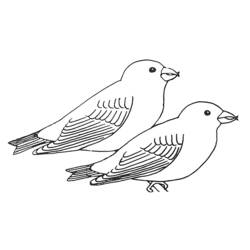 Disegno Rondine in coppia posata fianco a fianco da colorare