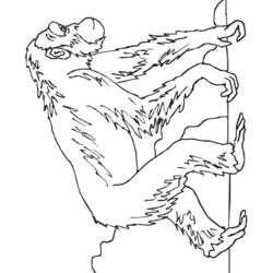 Disegno Scimpanzé che si arrampica su un ramo da colorare
