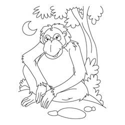 Disegno Scimpanzé seduto sotto un albero di notte da colorare
