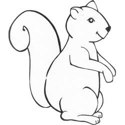 Disegno Scoiattolo seduto con la coda grande arrotolata da colorare