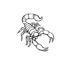 Scorpione - Disegni da colorare gratuiti