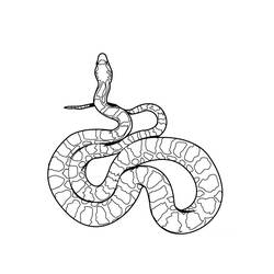 Disegno Serpente attorcigliato ad anelli da colorare