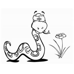 Disegno Serpente vicino a un fiore da colorare
